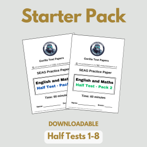DOWNLOADABLE - Starter Pack (Half Test Papers 1-8) With Answers & Worked Solutions