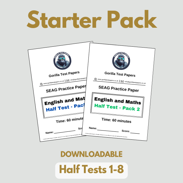 DOWNLOADABLE - Starter Pack (Half Test Papers 1-8) With Answers & Worked Solutions